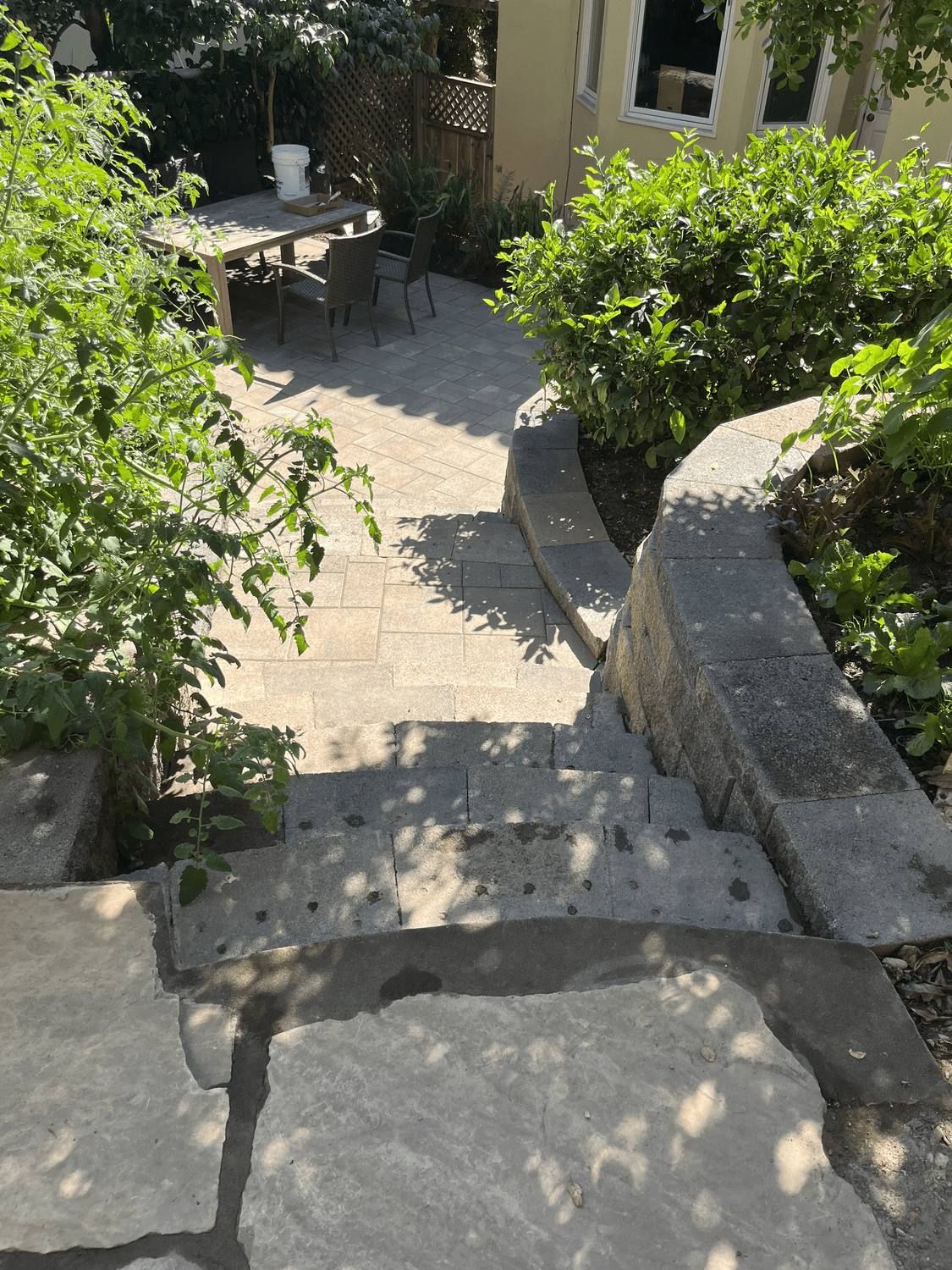 Stone walkway running through a shaded side yard