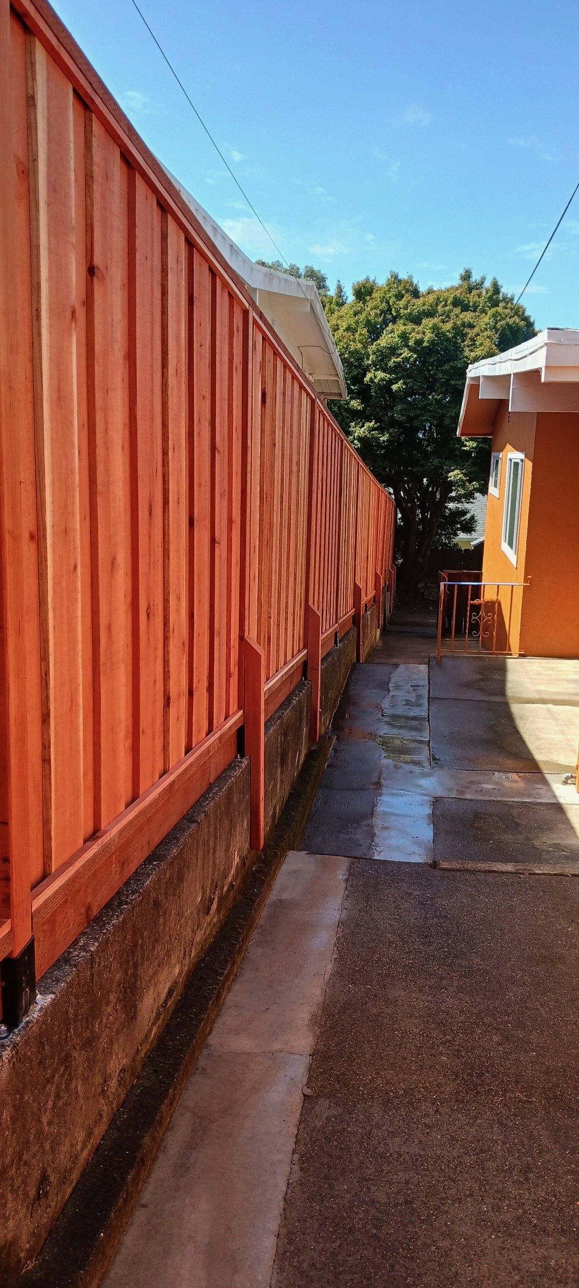 New fence panels along a narrow side yard after staining